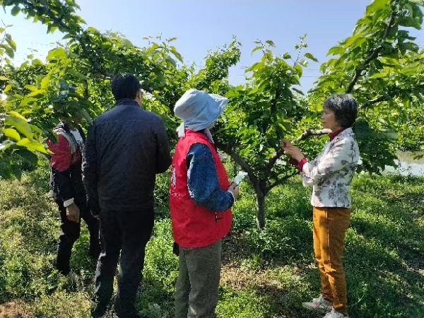 桂林市农科中心科技特派员送肥料下乡促春耕