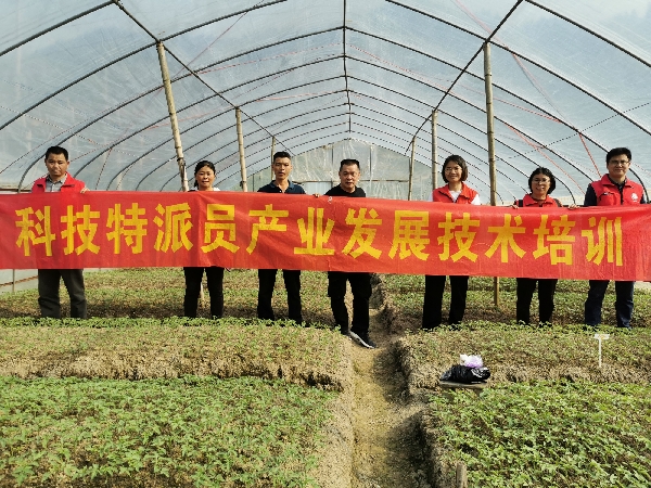 桂林市农业科学研究中心科技特派员赴资源县车田乡开展“科技下乡促春耕”服务活动