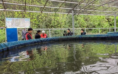 市农科中心联合摄制冷水鱼高效生态养殖科教片，助力乡村振兴