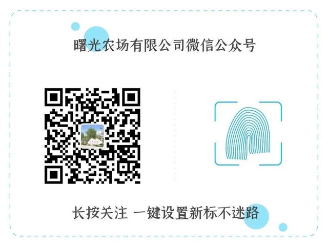 【普法课堂】涉密会议、涉密活动的保密管理应该这样做（涉密会议活动保密管理坚持什么的原则）