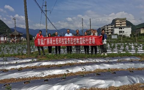 市农科中心副主任李玉洪领队随同广西农科院博士王益奎前往灌阳开展科技下乡服务活动