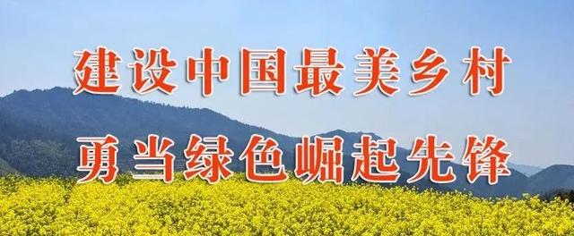 重磅消息！婺源县出台应对疫情帮助中小企业纾困解难若干措施（婺源疫情防控政策）