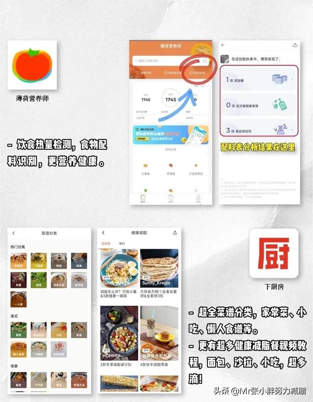 超级实用的12乱减脂减肥app，收藏转发点赞关注（减肥必备APP）