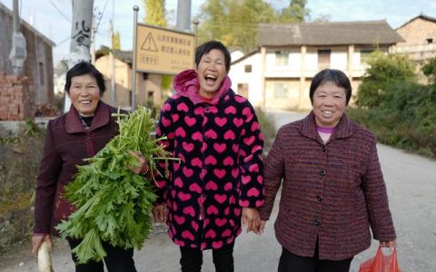 乡村振兴 – 居家养老服务，看道童村怎么做