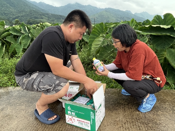 桂林市农业科学研究中心科技特派员到荔浦市杜莫镇开展灾后恢复生产技术服务