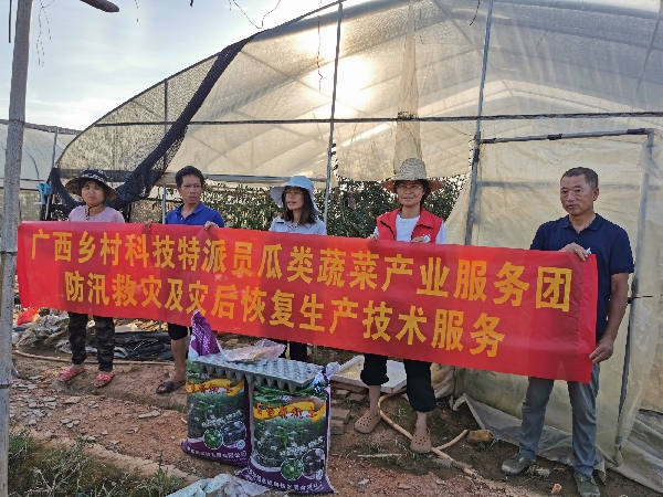 桂林市农科中心科技特派员开展防汛救灾及灾后恢复生产技术服务活动