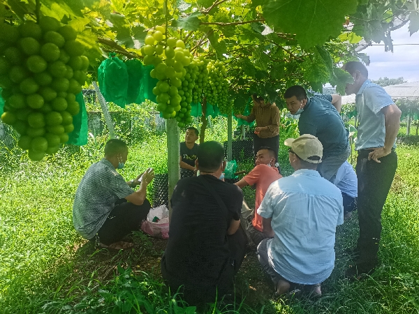 恭城县委组织部组织学员参观桂林市农业科学研究中心