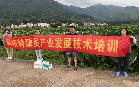 桂林市农业科学研究中心科技特派员到荔浦市杜莫镇开展灾后恢复生产技术服务