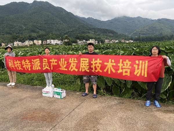 桂林市农业科学研究中心科技特派员到荔浦市杜莫镇开展灾后恢复生产技术服务