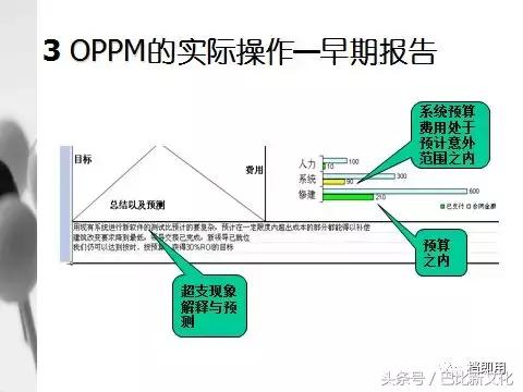一页纸项目管理（OPPM）的使用方法（《一页纸项目管理》）