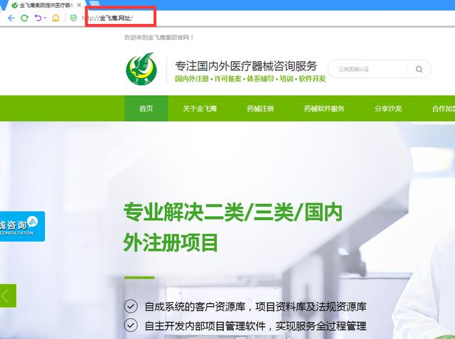 金飞鹰药械咨询技术服务集团启用中文域名“金飞鹰.网址”（深圳市金飞鹰药械技术咨询有限公司）