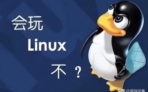 Linux软件包管理（linux软件包管理实验总结）