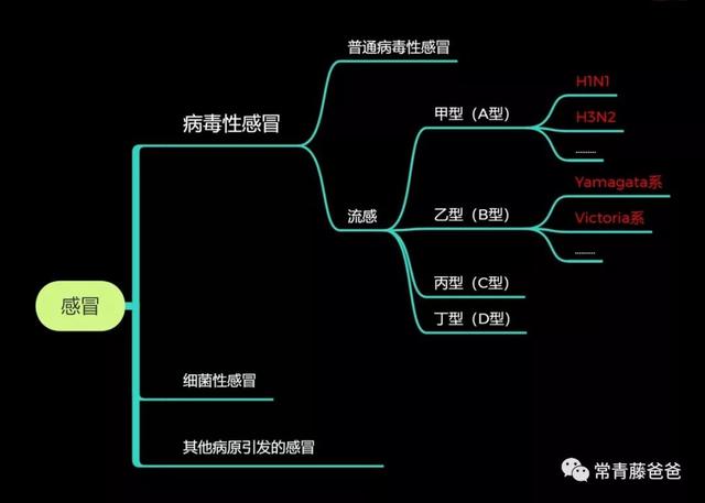 流感高峰期来了！9大疫苗困惑1次解答（最近流感疫苗问题）