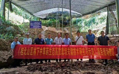 桂林市农业科学研究中心承担的市科技项目“桂北山区林下中草药生态高效栽培关键技术研究与示范”通过现场查定