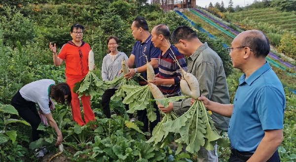 桂林市农科中心同广西农科院赴资源开展科技服务活动