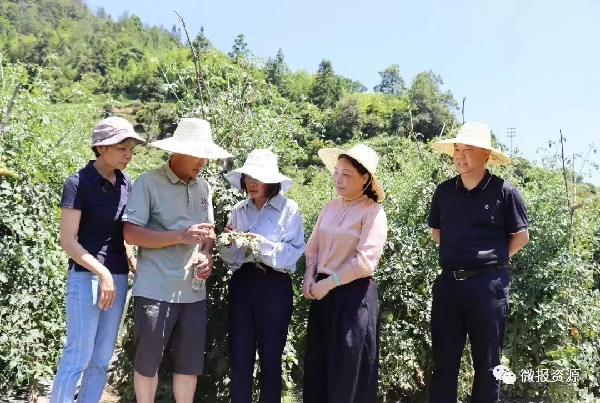 桂林市农业科学研究中心科技特派员到资源县开展科技培训服务活动