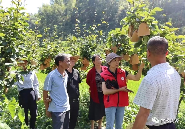 桂林市农业科学研究中心科技特派员到资源县开展科技培训服务活动