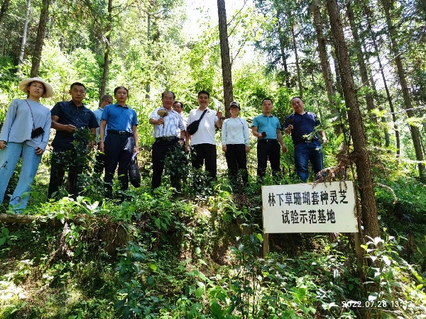 桂林市农业科学研究中心承担的市科技项目“桂北山区林下中草药生态高效栽培关键技术研究与示范”通过现场查定