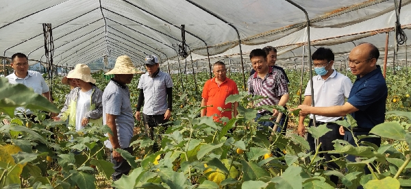 桂林市农科中心同广西农科院赴资源开展科技服务活动