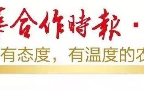 独家丨七大发力点！各省农信这样落实中央一号文件（农发行中央一号文件）