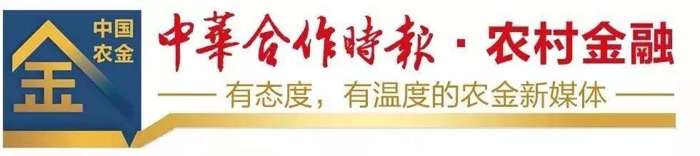 独家丨七大发力点！各省农信这样落实中央一号文件（农发行中央一号文件）