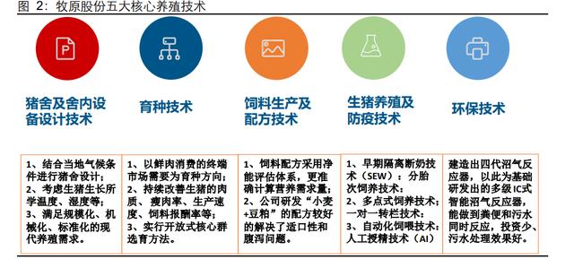 牧原股份研究报告：拥抱技术、重视人才、承担责任（牧原股份有限公司的战略）