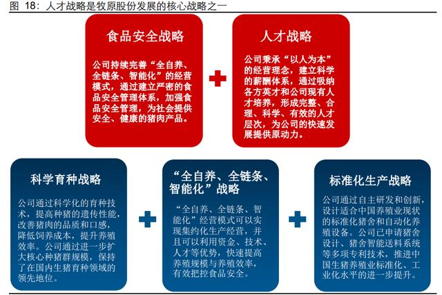 牧原股份研究报告：拥抱技术、重视人才、承担责任（牧原股份有限公司的战略）