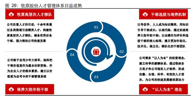 牧原股份研究报告：拥抱技术、重视人才、承担责任（牧原股份有限公司的战略）