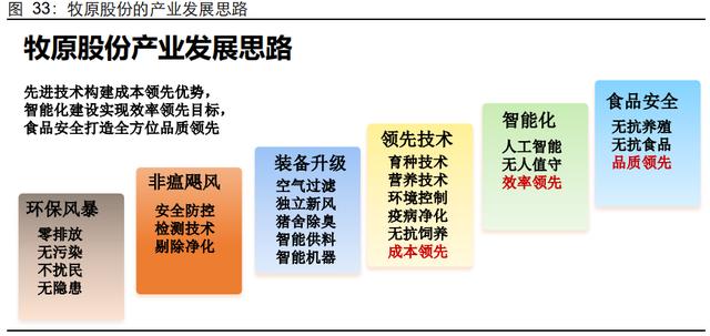 牧原股份研究报告：拥抱技术、重视人才、承担责任（牧原股份有限公司的战略）