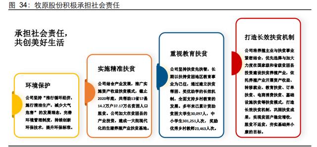 牧原股份研究报告：拥抱技术、重视人才、承担责任（牧原股份有限公司的战略）