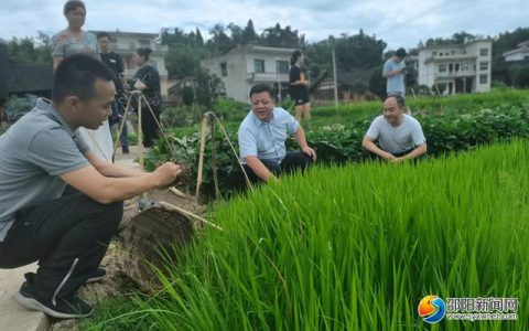 市大圳灌区管理局：以实干担当浇灌丰收硕果（大圳灌区管理局局长）