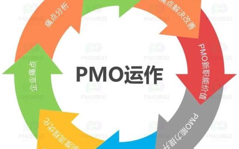 一文搞定互联网企业PMO项目管理体系建设和推广落地（业务驱动型pmo建设）