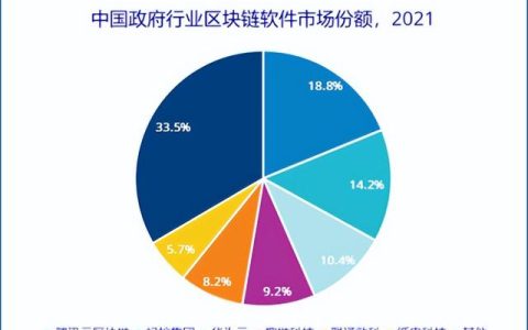 2021年，中国政府行业区块链软件市场份额如何？（2020年区块链软件）