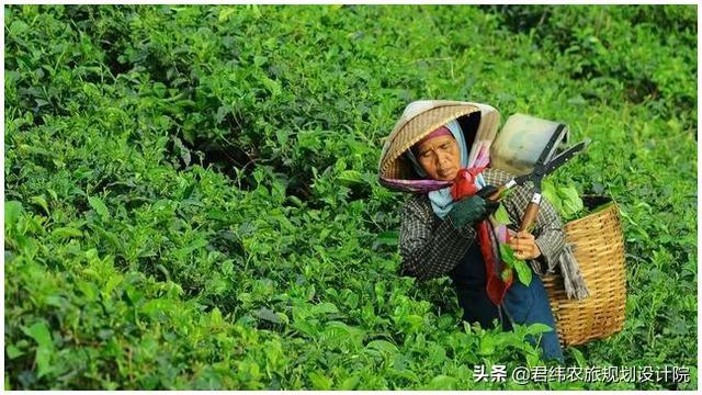 农业项目资金申请报告编写要点（详解，必收藏）（农业项目资金申请报告范文）