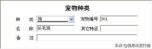 宠物门诊信息化管理软件开发设计系统解决方案（宠物门诊信息化管理软件开发设计系统解决方案怎么写）