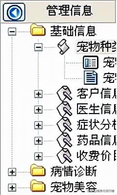 宠物门诊信息化管理软件开发设计系统解决方案（宠物门诊信息化管理软件开发设计系统解决方案怎么写）