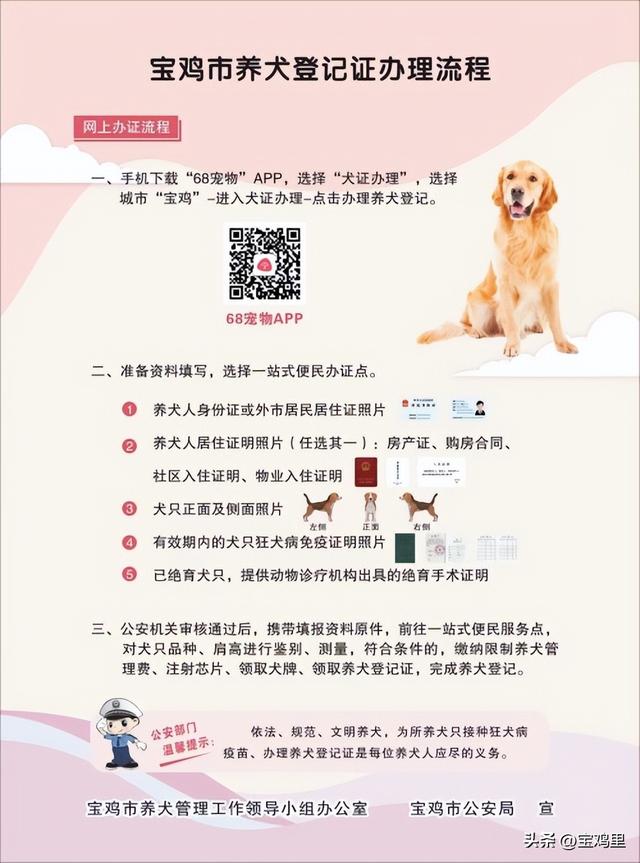 首张“线上犬证”成功办理，快爱犬配上“电子身份证”吧（电子犬证办理流程）