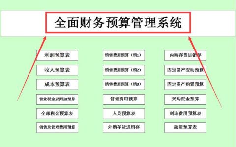 财务总监年薪60W！看了这份全面财务预算管理系统，真是太佩服了（《财务总监》）