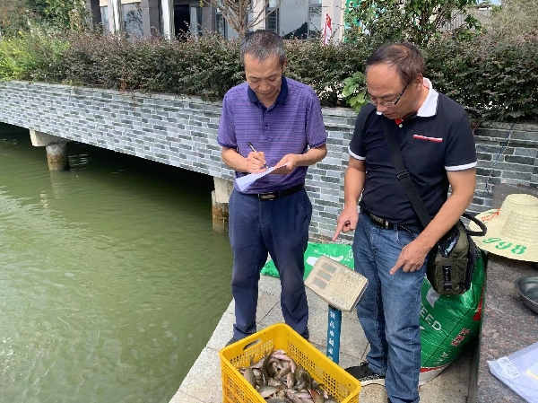 市农科中心承担的“禾花鲤种质保育与良种示范推广”项目通过现场查定