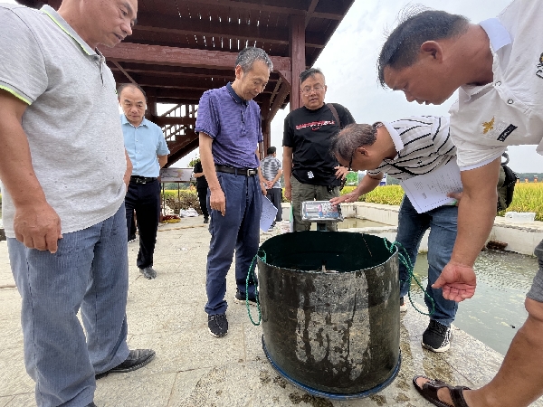 市农科中心承担的广西科技计划项目“全州创新型县禾花鲤种质保育与良种示范推广”通过现场查定