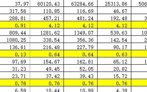 广联达斑马进度计划（广联达斑马进度计划破解版）