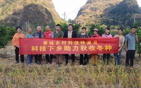 桂林市农科中心乡村科技特派员（恭城服务团）联合恭城县科技局乡村科技特派员开展秋收冬种科技服务活动