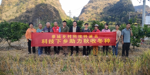 桂林市农科中心乡村科技特派员（恭城服务团）联合恭城县科技局乡村科技特派员开展秋收冬种科技服务活动