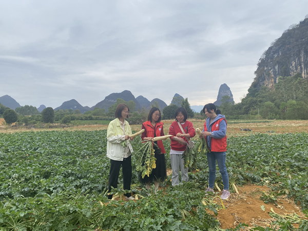 科技特派员助力乡村振兴，推动萝卜产业可持续发展
