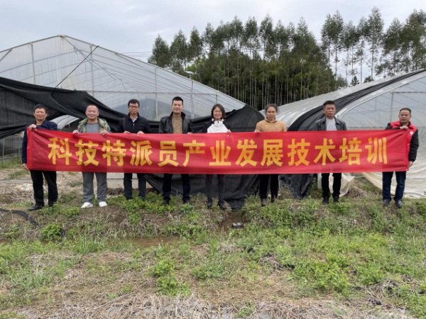 桂林市农科中心科技助力赤江村产业提质增效