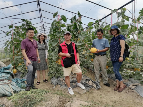 桂林市农科中心科技助力赤江村产业提质增效