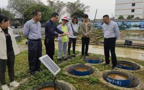 练内功，提能力，雁山观测实验站积极开展学术交流活动