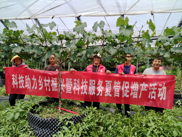 桂林市农科中心科技特派员赴灌阳县开展产学研合作