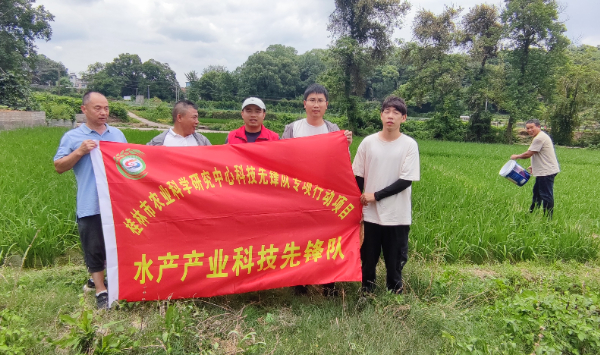 桂林市农科中心科技特派员到兴安县开展禾花鲤良种稻田投放活动
