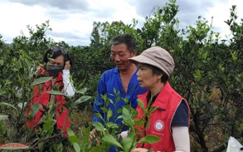 桂林市农科中心科技特派员赴永福县开展“科技服务夏管促增产”活动